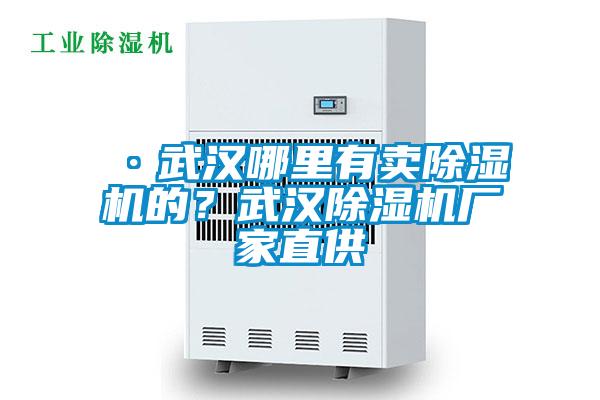 ·武漢哪里有賣除濕機的?武漢除濕機廠家直供
